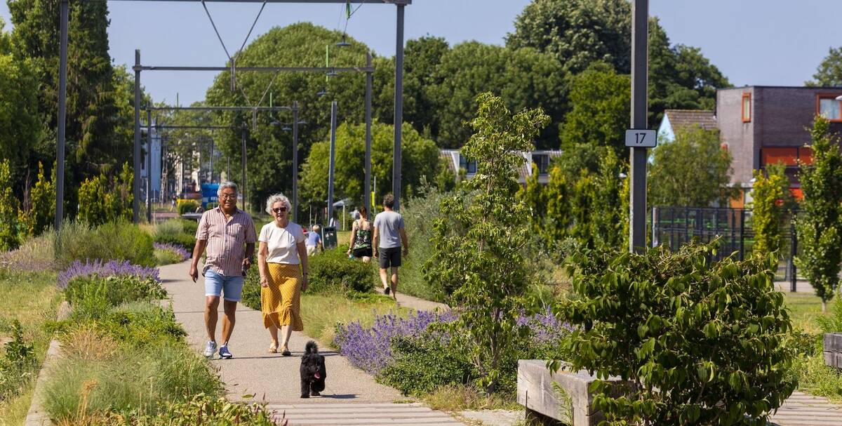 Several people walk through the park Oosterspoorbaan on a sunny day