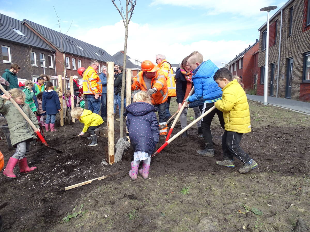 Children planting trees