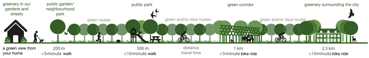 This image shows how we intend to bring different types of greenery closer to people’s front doors and what the distance from their homes will be.